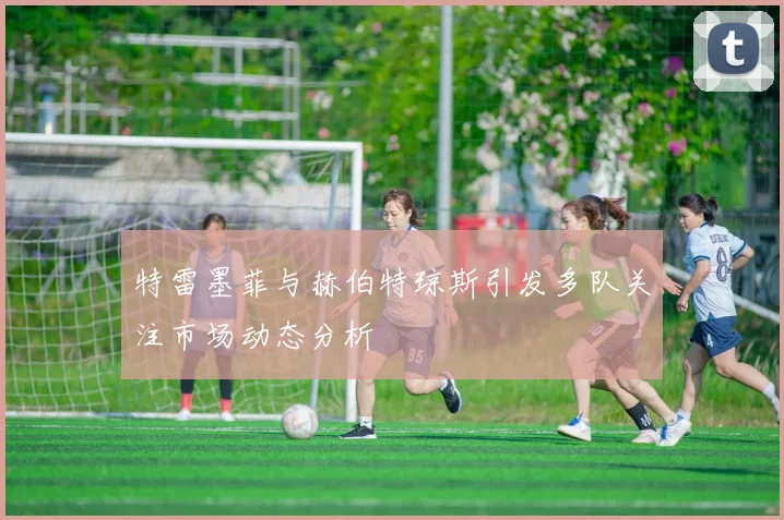 特雷墨菲与赫伯特琼斯引发多队关注市场动态分析