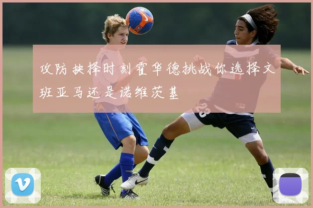 攻防抉择时刻霍华德挑战你选择文班亚马还是诺维茨基