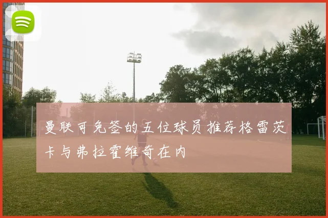 曼联可免签的五位球员推荐格雷茨卡与弗拉霍维奇在内